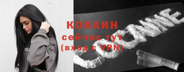спиды Абаза